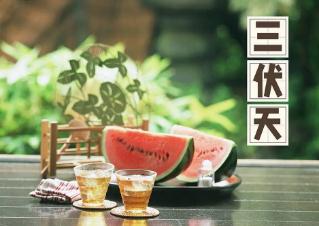 三伏天從什么時候開始至結束