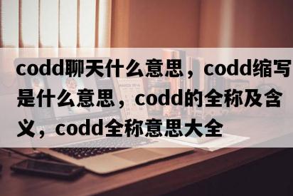 codd聊天什么意思