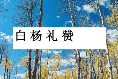 茅盾-白楊禮贊原文