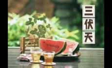 最近還這么熱？三伏天從什么時候開始至結束？