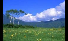 教育部最新30年教齡的教師，有啥政策？