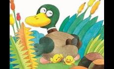 丑小鴨英文版故事