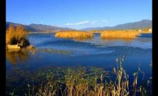 派出所開死亡證明流程是什么