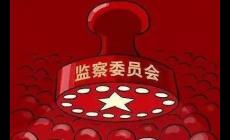 國家監察委員會由什么組成