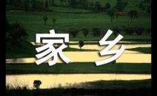 非遺文化遺產(chǎn)作文400字