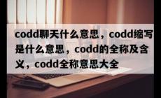 codd聊天什么意思,codd全稱意思
