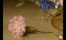 西方的靜物畫產生于哪個世紀的哪個國家