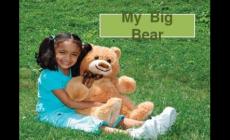 bigbear是什么意思？bigbear的中文意思