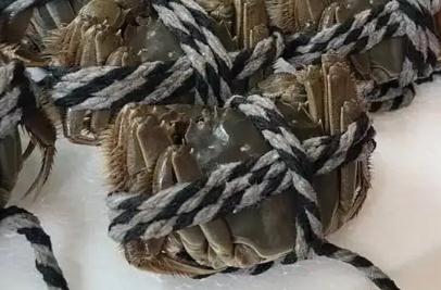 女子網上9.9元買了一箱“大閘蟹”