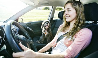 汽車上的set是什么意思