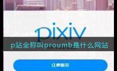 p站網址是什么？pubhorn的官網地址是多少？