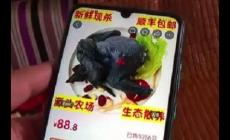 88元網(wǎng)購(gòu)的4只烏雞洗出一盆黑水，品質(zhì)被消費(fèi)者質(zhì)疑