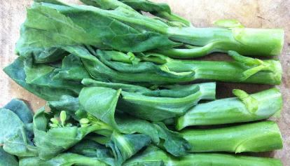 芥藍菜的圖片功效與作用