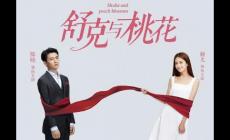 舒克的桃花運是什么時候拍的電視劇（舒克的桃花運什么時候拍的）
