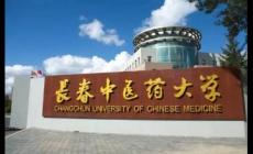 長春中醫藥大學代碼是多少