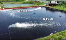 一畝地可以養(yǎng)多少魚(yú)合適(一畝地可以養(yǎng)多少魚(yú))