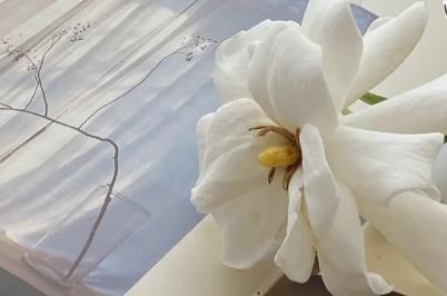 微信單刪再加回來對方知道嗎 微信單刪再加回來對方知道嗎2024