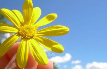 強強聯手合作共贏精彩語句