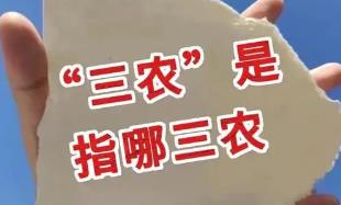 三農(nóng)是什么意思?三農(nóng)指的是什么意思?