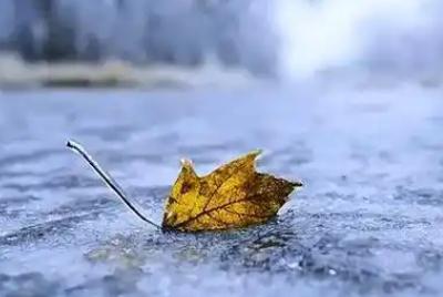 寒潮對農(nóng)作物危害最大的季節(jié)是