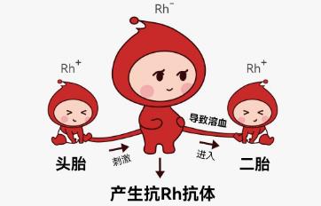 <a href=/e/tags/?tagname=新生兒 target=_blank class=infotextkey>新生兒</a>溶血癥是什么意思 <a href=/e/tags/?tagname=新生兒 target=_blank class=infotextkey>新生兒</a>溶血癥是什么意思啊