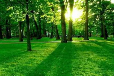 網(wǎng)文試讀：折腰小說未刪減無彈窗全文免費閱讀