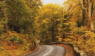 網(wǎng)易人工客服24小時(shí)電話怎么轉(zhuǎn)人工