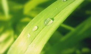 有女兒真好的唯美句子