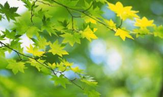 適合娘倆發朋友圈的句子