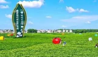 中國茉莉花之鄉是什么地方 中國的茉莉花之鄉在哪里啊