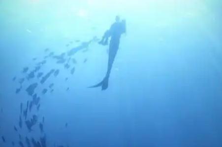 一生的誓言歌詞_一生的誓言歌詞是什么歌