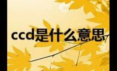 ccd是什么意思網絡用語（ccd是什么意思）