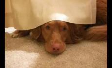 生辰八字真能決定一個(gè)人命運(yùn)嗎 生辰八字能決定什么