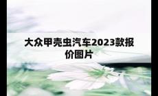 大眾甲殼蟲汽車2023款報價圖片（大眾甲殼蟲怎么樣）