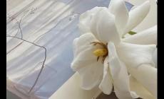 微信單刪再加回來對(duì)方知道嗎 微信單刪再加回來對(duì)方知道嗎2024