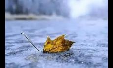 寒潮對(duì)農(nóng)作物危害最大的季節(jié)是