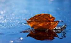 贊美一個人寫作水平高的句子