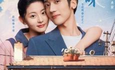 網劇差一分的美味劇情介紹 差一分的美味第1-2集劇情介紹