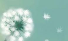 開創的近義詞,開創的近義詞有哪些