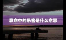 算命中的吊客是什么意思（吊客是什么意思）