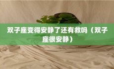 雙子座安靜嗎？當雙子座變得安靜了還有救嗎？