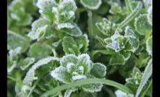 寒潮等級(jí)及劃分標(biāo)準(zhǔn)