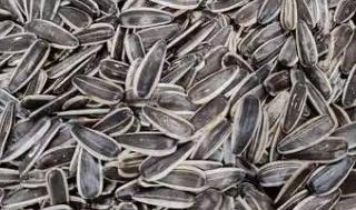 炒瓜子冒煙嗎?炒瓜子冒煙嗎還能吃嗎?