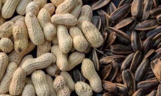 一吃炒花生和瓜子就上火怎么回事