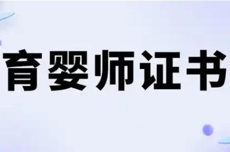 國家認可的育嬰師證有哪些項目可以考？