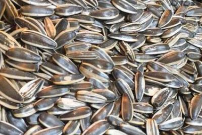 女人長期吃瓜子的好處與壞處