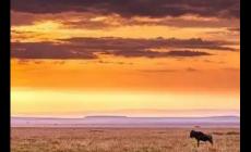 情降真的可以讓兩個(gè)人復(fù)合嗎