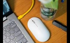 雷蛇官網真偽查詢sn碼查詢真偽  雷蛇官網真偽查詢入口