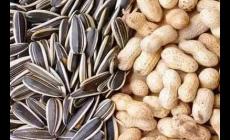 炒花生和瓜子哪個會更胖 炒花生和瓜子哪個會更胖呢