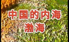 渤海是我國最大的內(nèi)海對嗎？